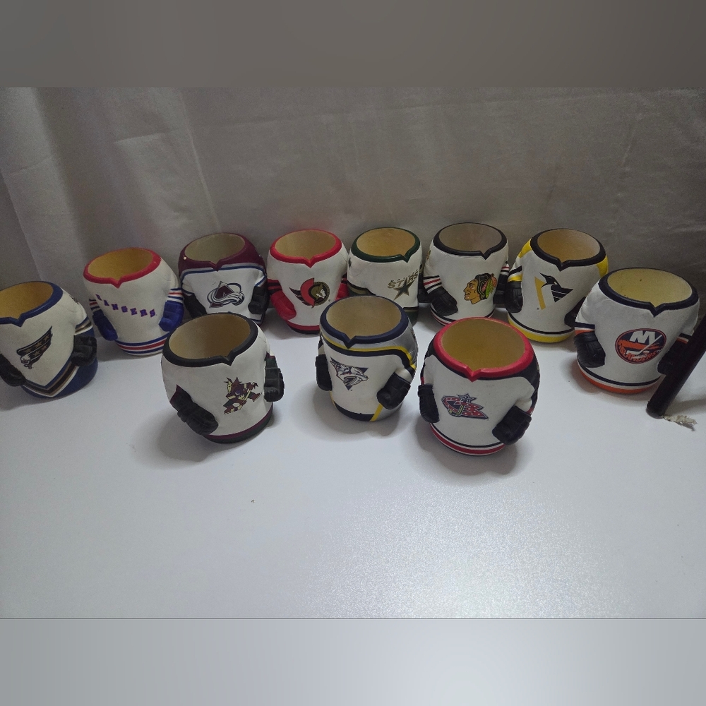 Nhl Beer Bottle/can Cozzies, Thick Rubber